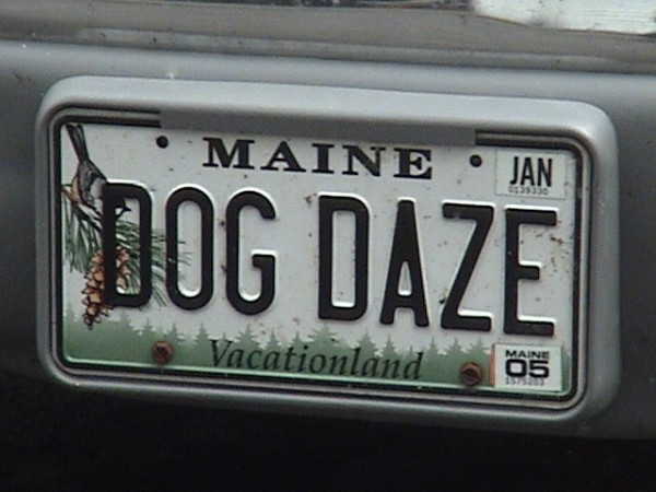 Dog Plates_549.jpg